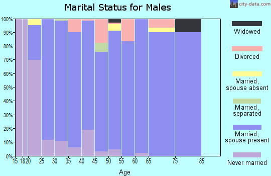 Zip code 64070 marital status for males