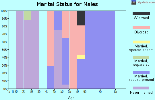 Zip code 64072 marital status for males