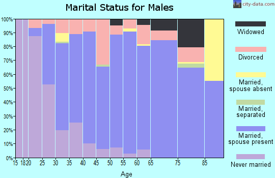 Zip code 64079 marital status for males
