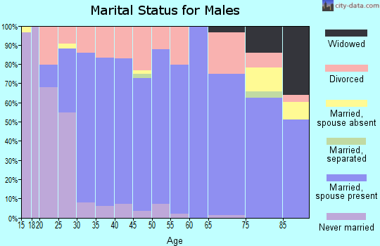 Zip code 64083 marital status for males