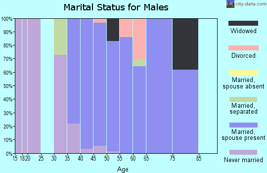 Zip code 64084 marital status for males