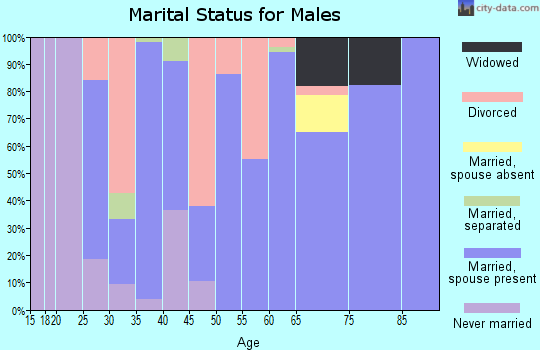 Zip code 64088 marital status for males