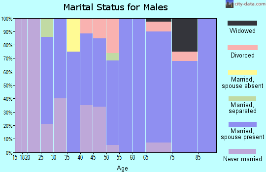 Zip code 64097 marital status for males