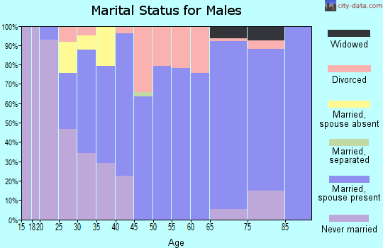 Zip code 64098 marital status for males