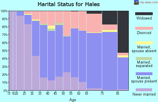 Zip code 64133 marital status for males