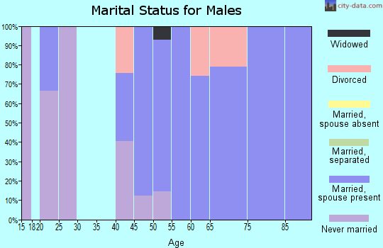 Zip code 64136 marital status for males