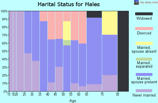 Zip code 64139 marital status for males