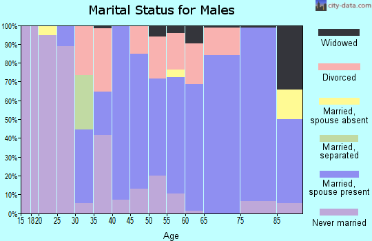 Zip code 64145 marital status for males
