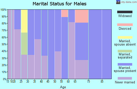Zip code 64146 marital status for males