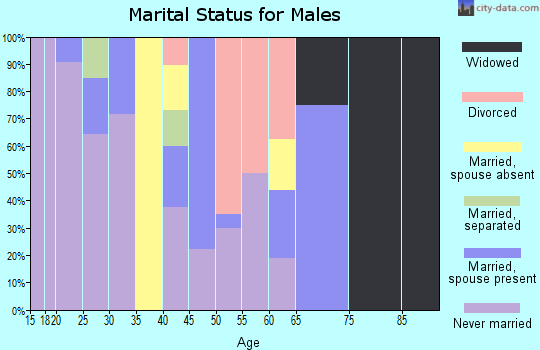 Zip code 64163 marital status for males