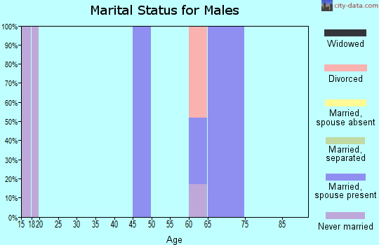 Zip code 64164 marital status for males