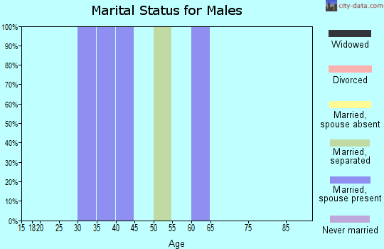 Zip code 64167 marital status for males