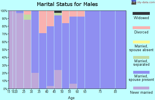 Zip code 64401 marital status for males