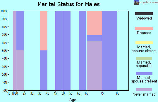 Zip code 64432 marital status for males