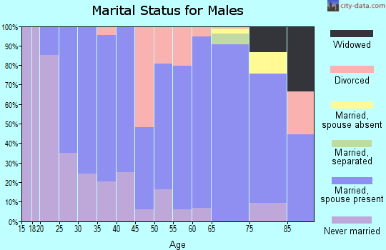 Zip code 64473 marital status for males