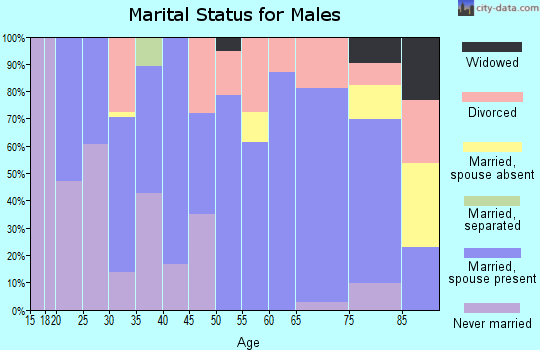 Zip code 64482 marital status for males