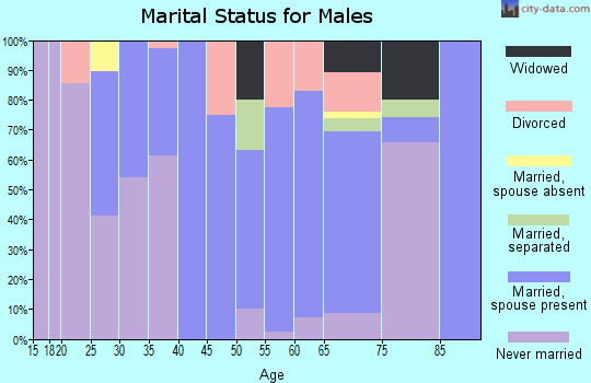 Zip code 64487 marital status for males
