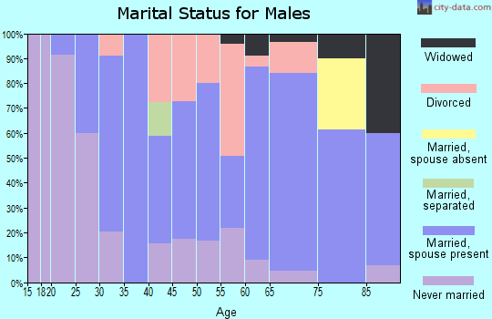 Zip code 64491 marital status for males