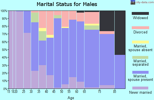 Zip code 64503 marital status for males