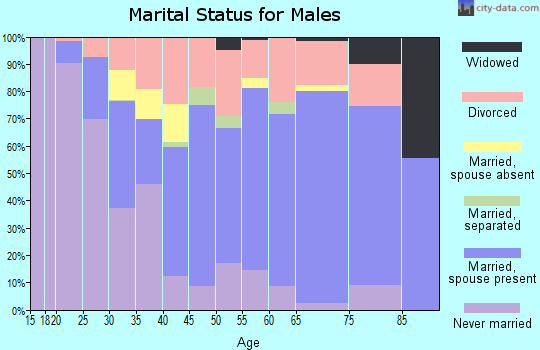 Zip code 64504 marital status for males