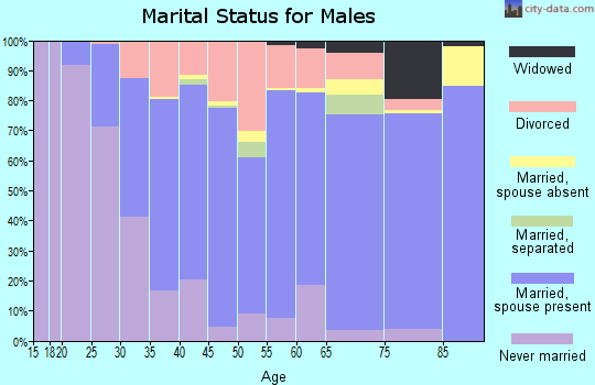 Zip code 64505 marital status for males