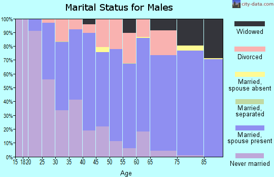 Zip code 64507 marital status for males