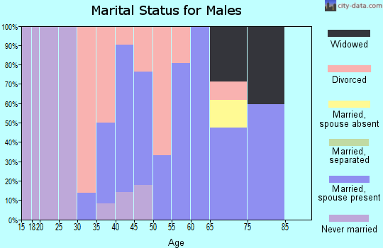 Zip code 64620 marital status for males