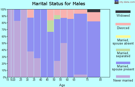 Zip code 64623 marital status for males