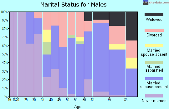 Zip code 64628 marital status for males
