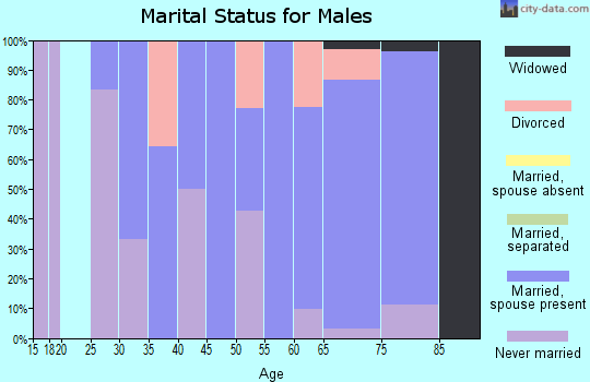 Zip code 64632 marital status for males