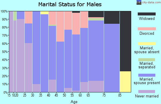Zip code 64633 marital status for males