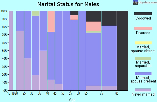 Zip code 64637 marital status for males