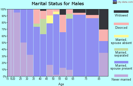 Zip code 64640 marital status for males