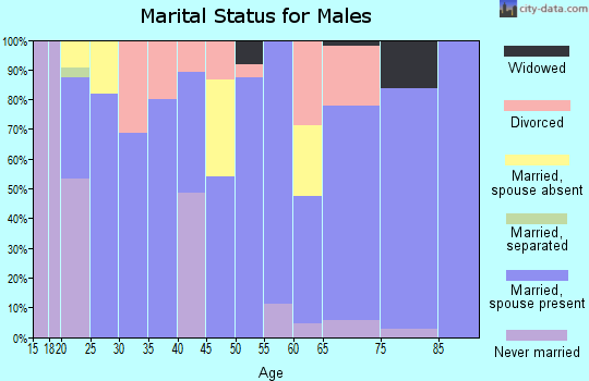 Zip code 64642 marital status for males
