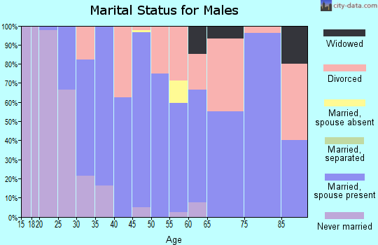 Zip code 64643 marital status for males