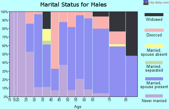 Zip code 64658 marital status for males