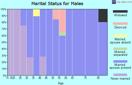 Zip code 64660 marital status for males