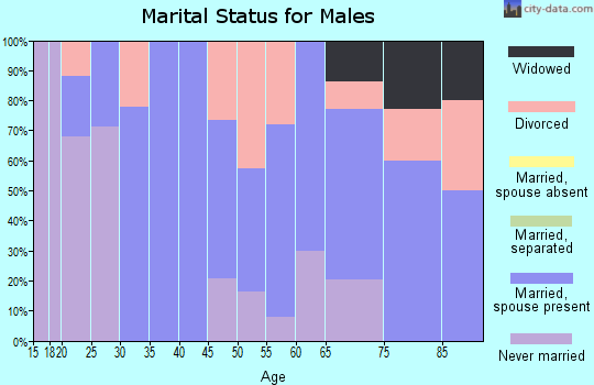 Zip code 64661 marital status for males
