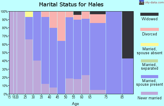 Zip code 64668 marital status for males