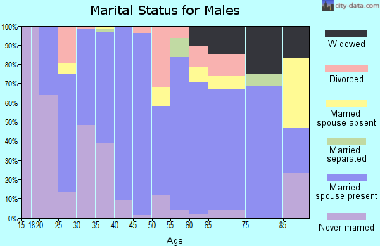 Zip code 64673 marital status for males
