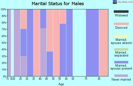 Zip code 64676 marital status for males