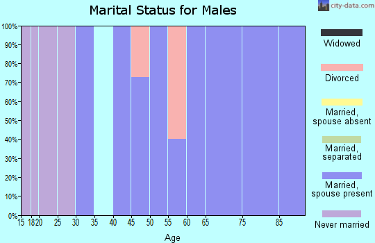 Zip code 64681 marital status for males