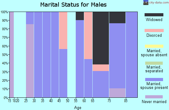 Zip code 64682 marital status for males