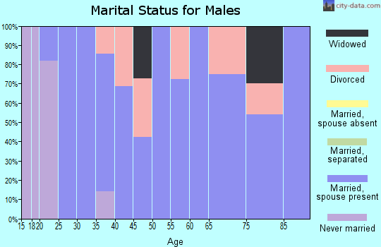 Zip code 64728 marital status for males