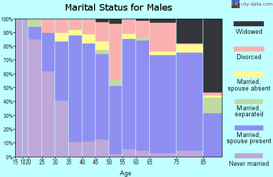 Zip code 64735 marital status for males