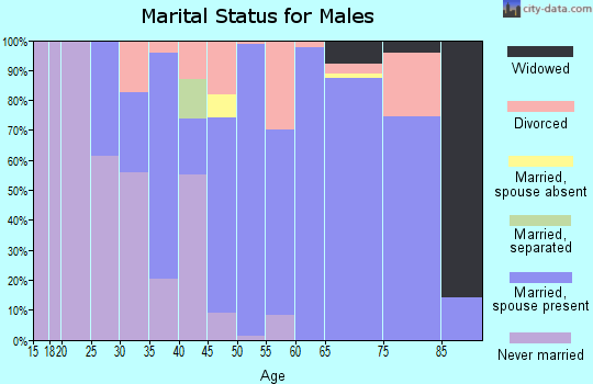 Zip code 64740 marital status for males