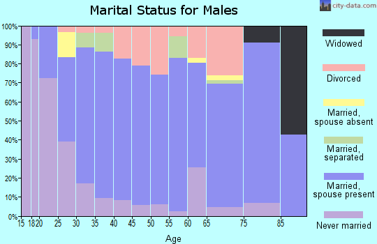 Zip code 64747 marital status for males