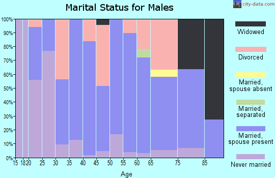 Zip code 64748 marital status for males