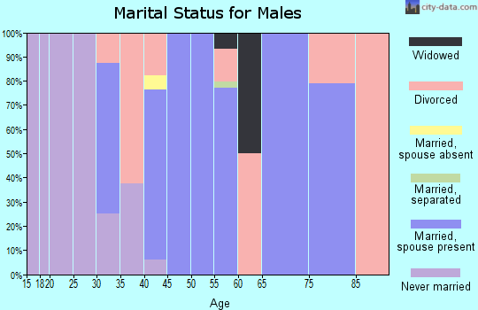 Zip code 64756 marital status for males