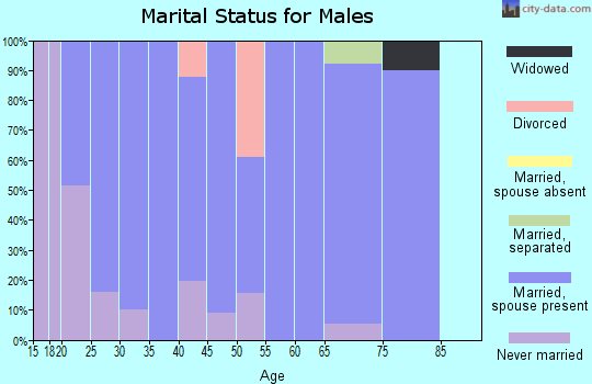 Zip code 64762 marital status for males